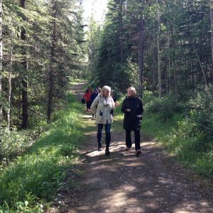 forest bathing, forest therapy, Banff, Canmore, Kananaskis, Calgary, Alberta, nature, relaxation, stress management, leadership, wellness, ,teambuilding