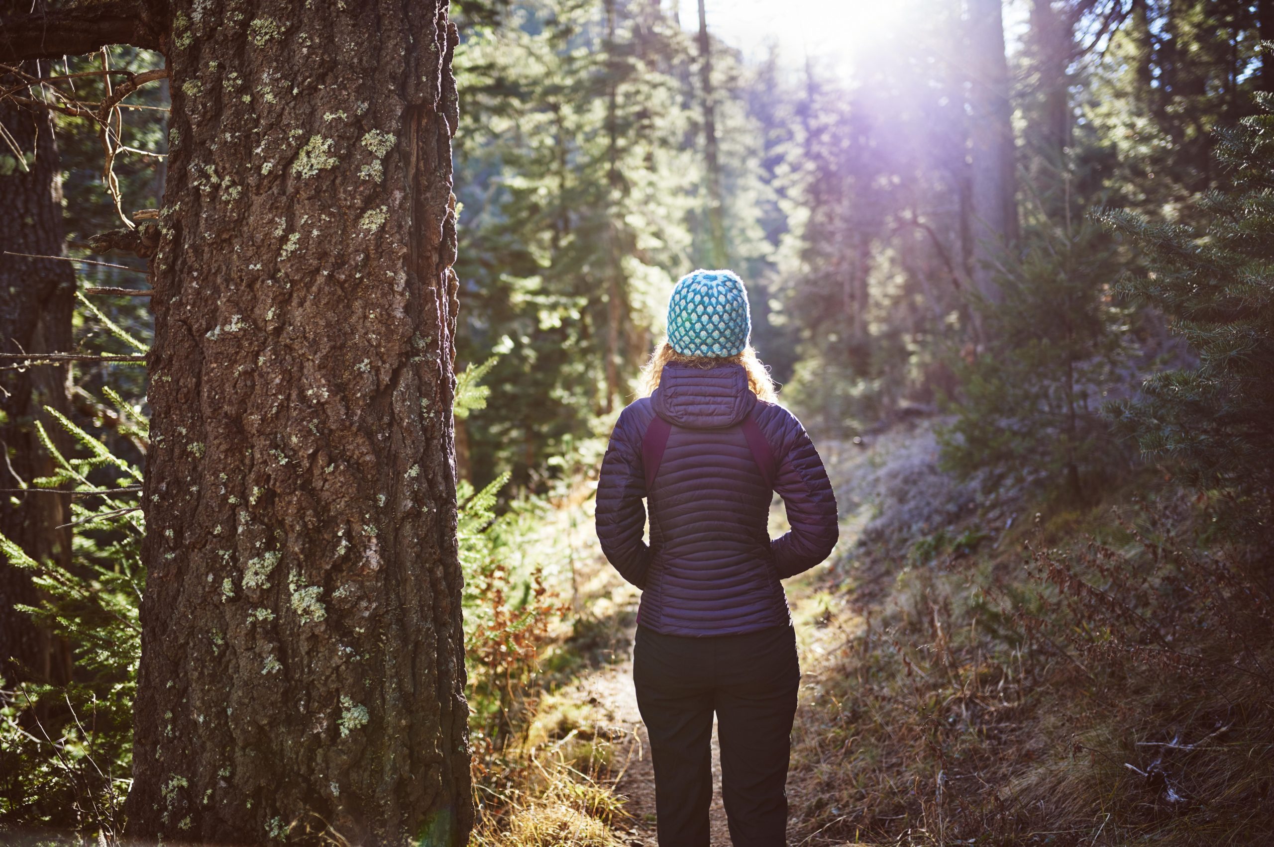 woman walking in a forest